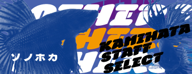 �J�~�n�^�X�^�b�t�Z���N�g�x�^2026.06.04�@SD�E���̑��Z���N�g