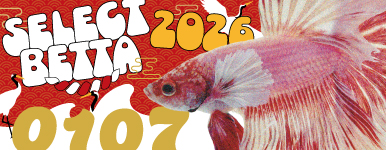 現地生産者 セレクトベタ 01.07号