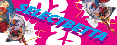 現地生産者 セレクトベタ 02.25号