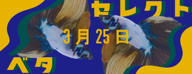 ���n���Y�� �Z���N�g�x�^�@03.25��