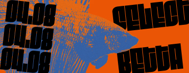 ���n���Y�� �Z���N�g�x�^�@04.08��