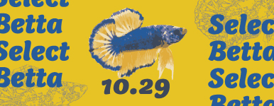 現地生産者 セレクトベタ 10.29号