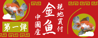 yzJ~n^X^btZNg Y Pe 1015