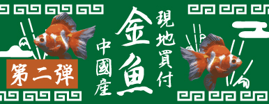 yzJ~n^X^btZNg Y Qe 1022