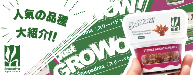 GROWOWIlCisbNAbvI