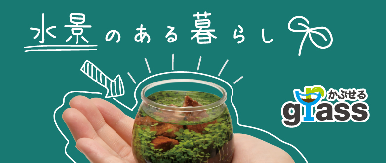 かぷせるグラス
