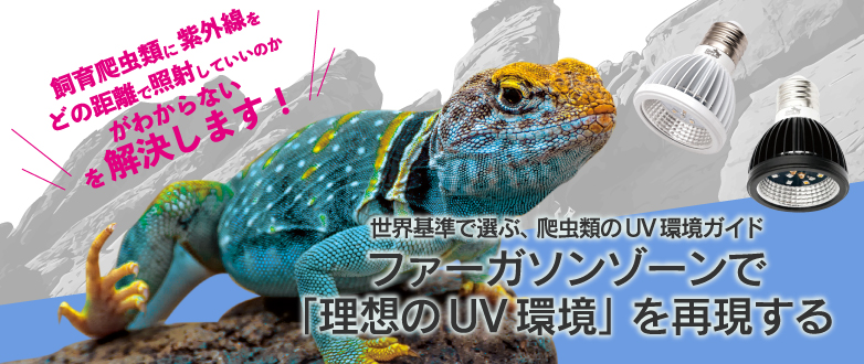 �t�@�[�K�\���]�[���� �u���z��UV���v���Č�����
