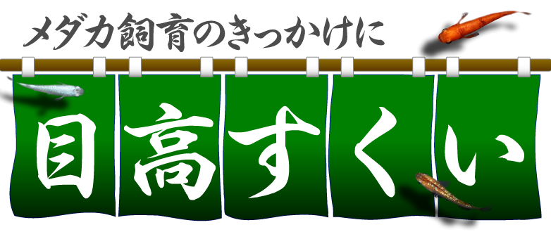 ς胁_J̃Cxg