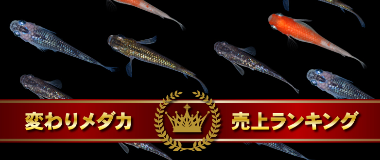 ς胁_JドLOI