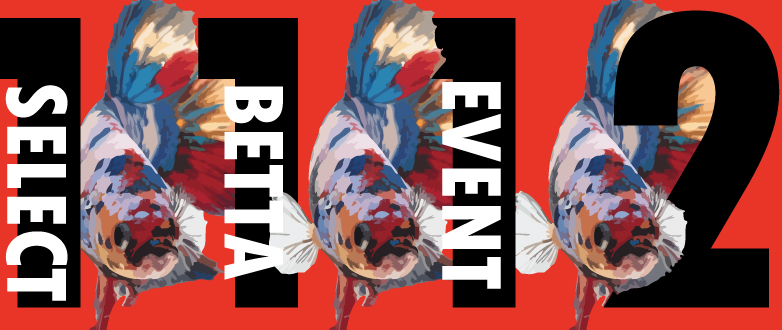 現地生産者 セレクトベタ 11.12号