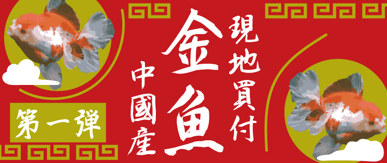 yzJ~n^X^btZNg Y Pe 1015