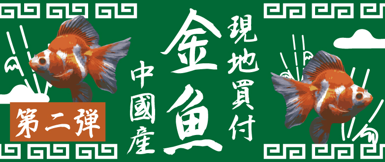 yzJ~n^X^btZNg Y Qe 1022