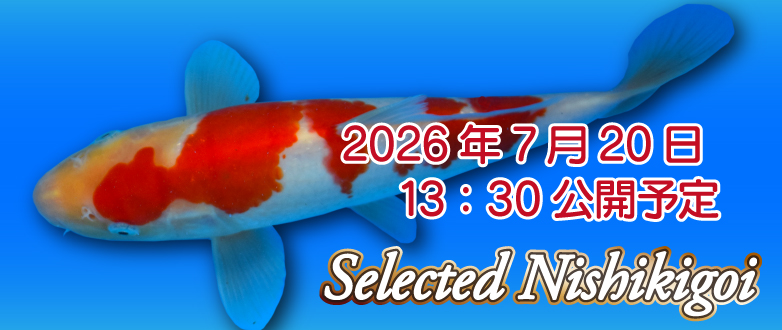 �\���@�Z���N�g�ь� 0720