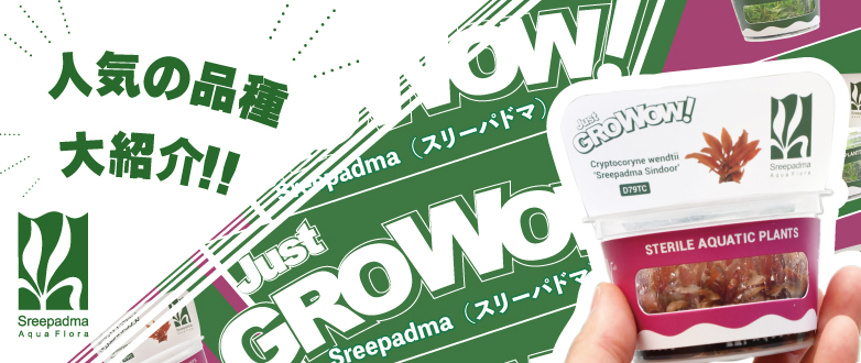 GROWOWIlCisbNAbvI