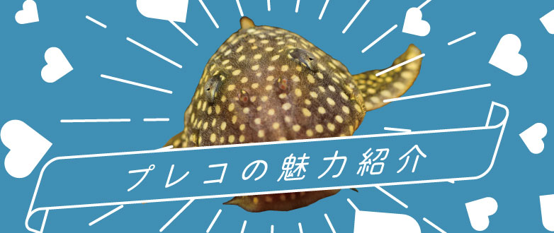 vR̖͏Љ