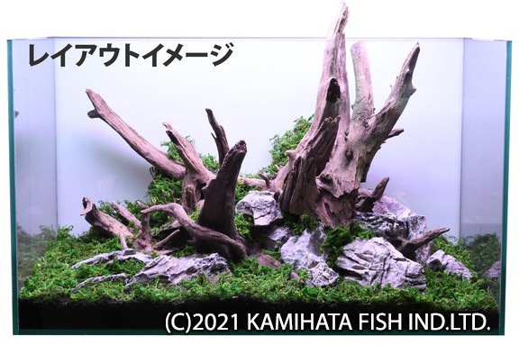 KBO ﾀｲ産天然流木 ﾀﾞｰｸﾎｰﾝｳｯﾄﾞ L: カミハタ用品｜カミハタビジネス ...