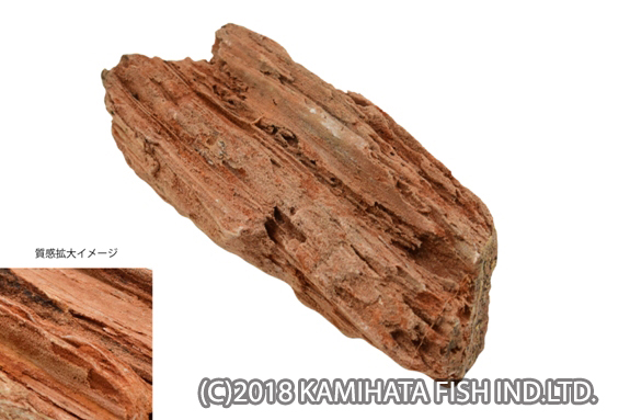 紅木化石　レイアウトセット