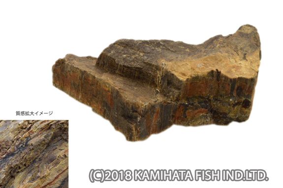木化石　レイアウトセット