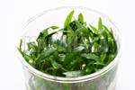 ā@è@ذݹޯ