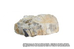 アクアリウムロック　木化石　大