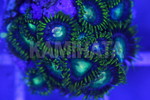 ҽ 'RADIOACTIVE DRAGON EYES'