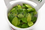 ޱ  ް GROWOW