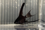 ���Y���߰��ׯ��ݾ���ް�ð�