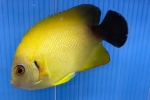 �������s�[��X�i�������b�RC