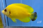 �������s�[��X�i�������b�RD