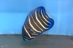 アデヤッコ　幼魚