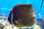 cL`E`EEI