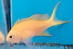 Ŷ޲ ҽ 쑾m