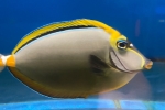 ڶƺ(Ժݸ޲ޗm)lk
