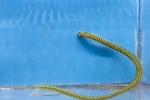 òװ�޶ް��ݲ�� ������