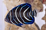 TUi~bR c  lr