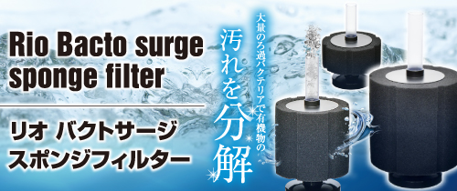 水槽のろ過能力・バクテリアを最大限に。機能的なスポンジフィルターで実現