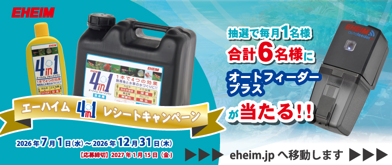 フォーインワンレシートキャンペーン