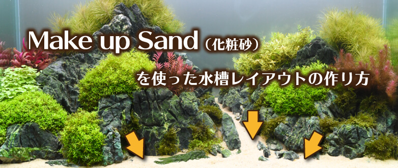 Make up Sand（化粧砂）を使った水槽レイアウトの作り方