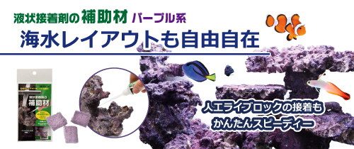 KBO 海水魚｜カミハタビジネスオンライン