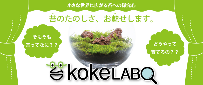 コケラボ　カミハタビジネスオンライン