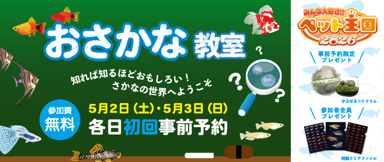 �������ȋ���