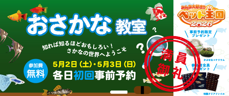 �������ȋ���