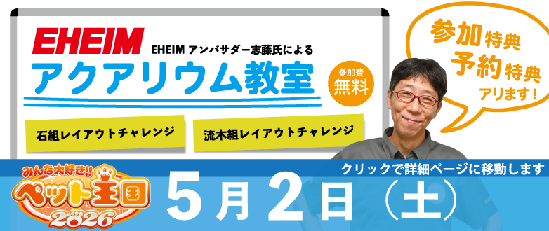 �A�N�A���E������