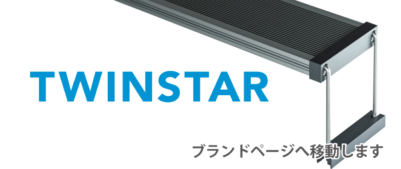 TWINSTAR