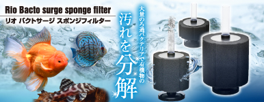 水槽のろ過能力・バクテリアを最大限に。機能的なスポンジフィルターで実現